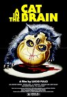 A Cat in the Brain