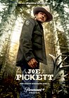 Joe Pickett