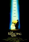 The Reflecting Skin