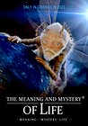 The Meaning and Mystery of Life