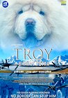 Troy the Bharat Putra