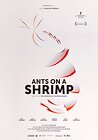 Ants on a Shrimp