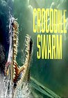 Crocodile Swarm