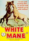 White Mane