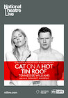 Cat on a Hot Tin Roof