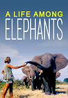 A Life Among Elephants