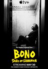 Bono: Stories of Surrender