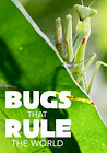 Bugs That Rule the World