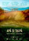 Apa si talpa