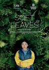 Soft Leaves