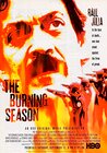 The Burning Season: The Chico Mendes Story