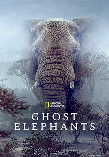 Ghost Elephants