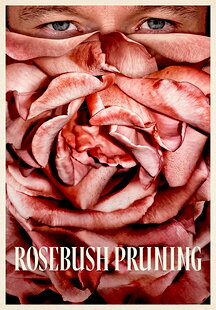 Rosebush Pruning
