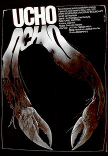 Ucho